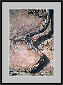 Image 00826W