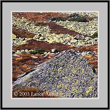 Image 00848L